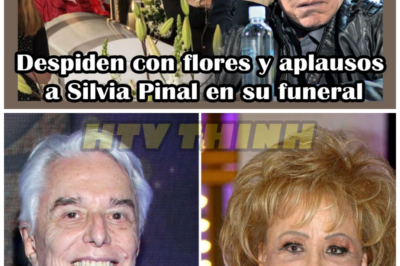 Enrique Guzmán se negó a asistir al fun3rai de Silvia Pinal por este motivo – HTT