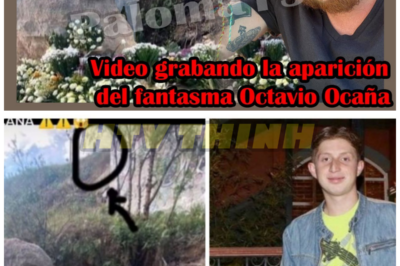 el FANTASMA de Octavio Ocaña – HTT