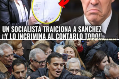 Traición a Sánchez