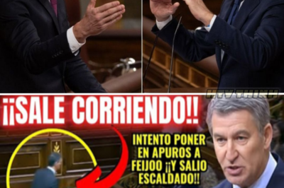 ¡Sánchez en la cuerda floja!