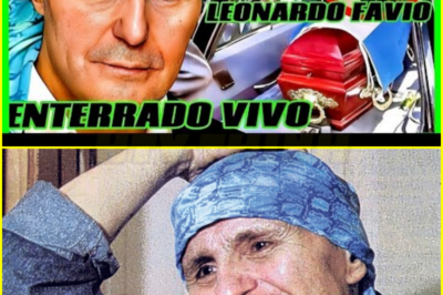 (b00) LEONARDO FAVIO