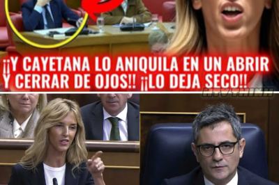 Cayetana Álvarez de Toledo Desmantela