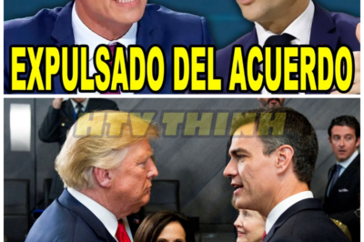 Reino Unido y Franco EXPULSAN a Sánchez del ACUERDO con Trump – HTT