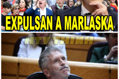 EXPULSAN a Marlaska y BORRAN SU AGENDA ante los NUEVOS ESCÁNDALOS – HTT