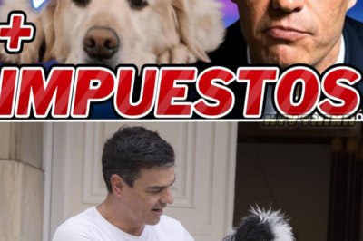 La Ley de Bienestar Animal