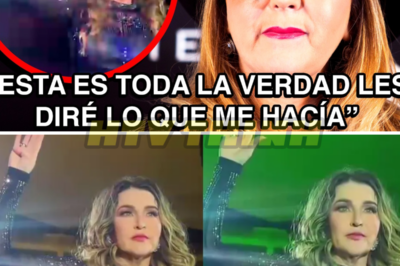 Alicia Villarreal G0L𝑷3A𝑫4 por su ESPOSO y CONFIESA en CONCIERTO