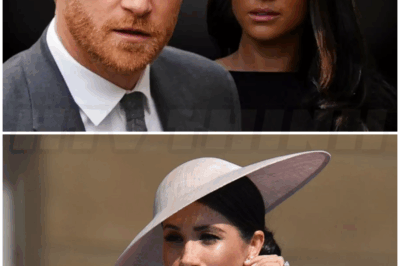 ♌ – Meghan Markle