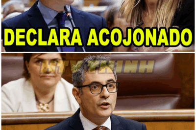 Félix Bolaños, ACORRALADO, DECLARA ante el Juez Peinado – HTT