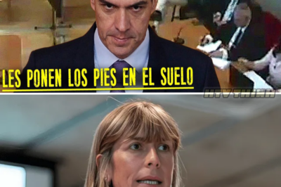 El Caos del PSOE: La Sentencia que Conmociona a la Política Española y Desata la Ira de Pedro Sánchez