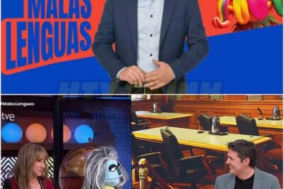 ¡TVE SORPRENDE A TODOS! LA IMPACTANTE DECISIÓN QUE CAMBIA LA PARRILLA DE PROGRAMAS ANTES DE MALAS LENGUAS…