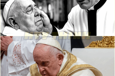 ¡IMPACTANTE REVELACIÓN! EL PADRE LUIS TORO, TRAS LA MUERTE DEL PAPA, REVELA UNA TERRIBLE VERDAD.