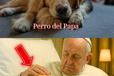 El perro del Papa Francisco protagoniza una escena desgarradora al negarse a abandonarlo tras su muerte: una muestra de amor eterno que conmueve a millones
