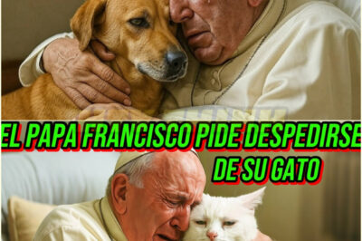 ¡EL PAPA FRANCISCO PIDIÓ DESPEDIRSE DE SU GATO SEGUNDOS ANTES DE MORIR, CONMOVIENDO AL MUNDO ENTERO!
