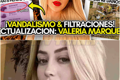 CASO VALERIA MÁRQUEZ: DAÑOS en su TUMBA! ÚLTIMOS chats EXPUESTOS! SUS AMIGAS y NUEVAS TEORIAS!