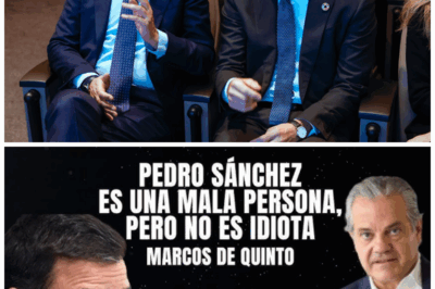 Guerra interna en el PSOE: filtraciones, traiciones y un líder acorralado por su propio poder