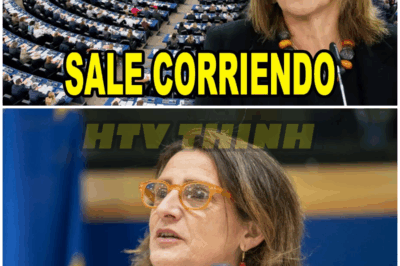 Teresa Ribera HUYE DEL PARLAMENTO EUROPEO cuando hablan del APAGÓN – HTT