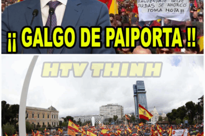 MASIVA MANIFESTACIÓN contra el “GALGO DE PAIPORTA” en Plaza de Colón, Madrid – HTT