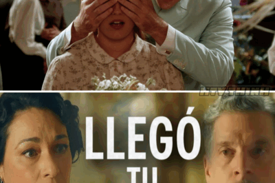 El Intrigante Viaje de Lisandro: ¿Cómo Terminará la Historia de Leocadia?