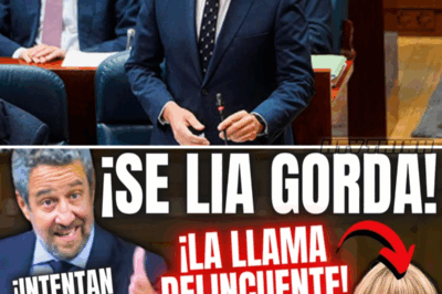 ¡Explosión en el Congreso! Un Diputado Desata la Ira al Llamar Mafiosos a Sánchez y Gómez