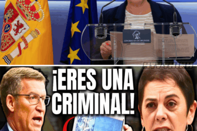 ¡Escándalo Político en España! Feijóo Desmantela a Mertxe Aizpurua y su Pasado Controversial
