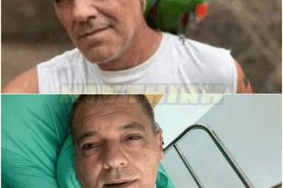 ¿Qué está pasando con Frank Cuesta? La trama de amenazas y chantajes a la que asegura estar sometido