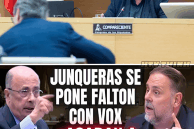 La Tensión Explotó Entre Junqueras y Vox: ¡Gritos, Acusaciones y Revelaciones Impactantes!