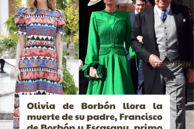 Dolor, distancia y secretos en la nobleza: el enigmático adiós del duque de Sevilla sacude a la familia Borbón