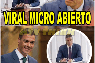 MICRÓFONO ABIERTO PILLA a Sánchez en plena reunión de crisis: «¿Pero con cebolla o sin» – HTT