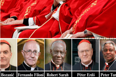 Los 135 Cardenales que Decidirán el Futuro del Papado: ¿Quién Será el Nuevo Papa?