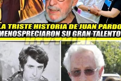LA TRISTE HISTORIA DE JUAN PARDO