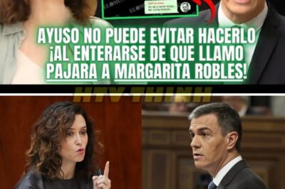 😱 ¡Explosivo! La reacción de Ayuso que pone a Sánchez contra las cuerdas tras llamar “pájara” a Robles