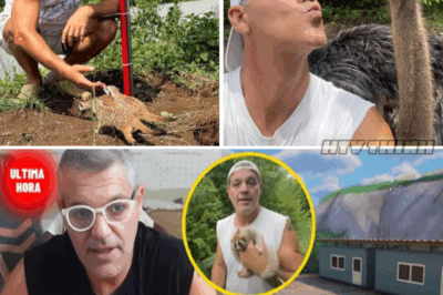 Frank Cuesta Confiesa Sus Secretos Más Oscuros: ¡No Tiene Cáncer ni es Herpetólogo!