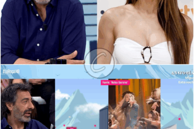 Mᴇʟᴏᴅʏ ᴛʀᴀs sᴜ ᴘʟᴀɴᴛᴏ́ɴ