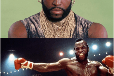 𝘌𝘭 𝘦𝘲𝘶𝘪𝘱𝘰 𝘈