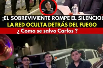 ¡ATENCIÓN MÉXICO! HARFUCH DESCUBRE LA VERDAD PROHIBIDA DEL ARCHIVO CERO: LA OSCURA TRAMA DETRÁS DEL CRIMEN DE LOS MÚSICOS CALCINADOS