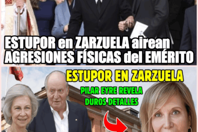 ¡Escándalo en la Monarquía! Revelaciones Impactantes sobre las Agresiones del Rey Juan Carlos I a la Reina Sofía