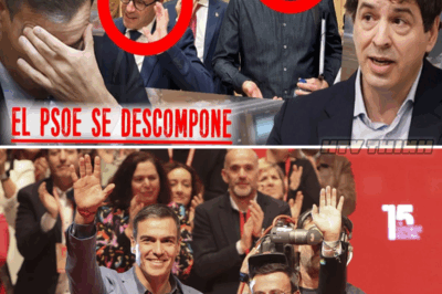 La Impactante Conexión entre el Hermano de Pedro Sánchez y Miguel Ángel Gallardo Revelada por TVE