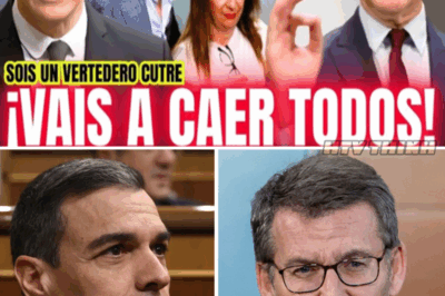 ¡El Impactante Enfrentamiento entre Feijóo y Sánchez que Estremece la Política Española! 😱
