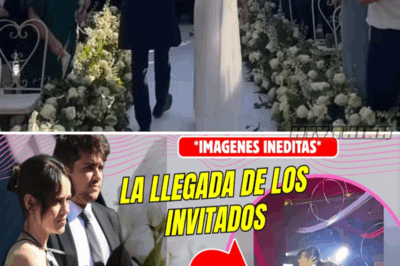 ¡Boda Secreta y Glamour! La Celebración Íntima de Jaime Lorente y Marta Goenaga que Todos Quieren Conocer