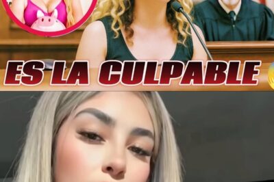 Hay un VACÍO en la historia que nadie ha podido explicar… y Erika parece saber MÁS de lo que admite. En este artículo, exploraremos los detalles más impactantes del caso, las últimas novedades sobre los implicados y las reacciones de la sociedad.