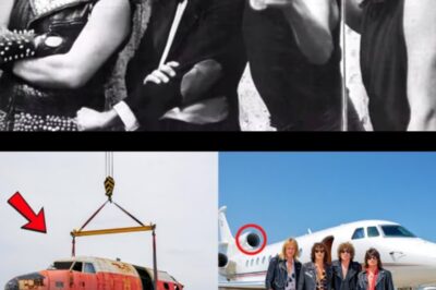 El Impactante Hallazgo Bajo el Mar: La Banda de Rock Desapareció Misteriosamente en 1981… y la Marina Encuentra Pruebas Irrefutables 19 Años Más Tarde. Este relato, lleno de intriga y emoción, nos lleva a explorar los misterios que rodean a esta enigmática banda y su trágico destino.