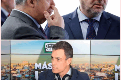🔥 La crisis interna del PSOE crece con nuevas acusaciones contra Santos Cerdán