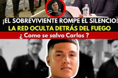 😨 IMPACTANTE: HARFUCH ROMPE LAS CADENAS DEL SILENCIO Y REVELA LA IDENTIDAD DE LOS VERDADEROS CULPABLES TRAS LOS MÚSICOS CALCINADOS – TODO ESTABA EN EL ARCHIVO CERO