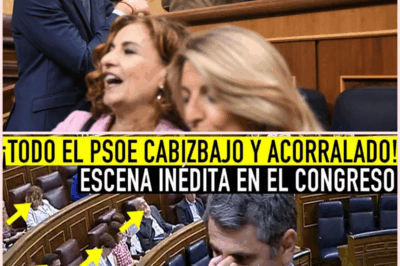 Crisis en el Gobierno: La Imputación de Cerdán y el Escándalo de la Banda Peugeot Desatan una Tormenta Política