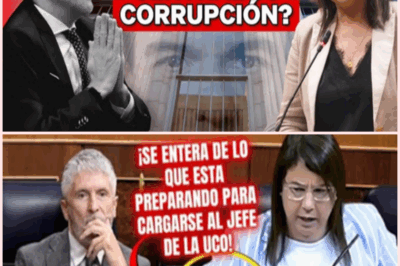 ¡Escándalo en el Congreso! Ana Vázquez Revela el Plan Secreto de Marlaska para Derribar al Jefe de la UCO