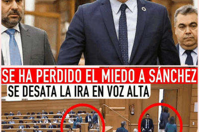 Crisis en el PSOE: El Escándalo que Sacudió el Parlamento y Desató la Ira de los Diputados