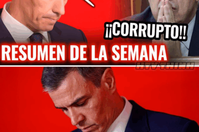 ¡El Gobierno de Pedro Sánchez en Crisis: Revelaciones Impactantes y Protestas Históricas!