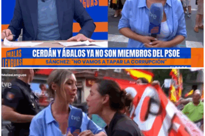 🌈 – La queja de Cintora por lo sucedido con una reportera de ‘Malas lenguas’