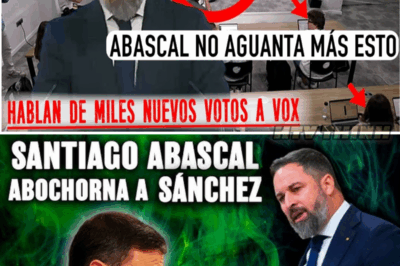 Vox Sacude los Cimientos del Gobierno de Sánchez con una Medida Sin Precedentes que Deja al PSOE al Borde del Colapso