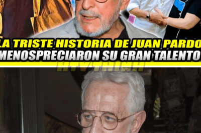 LA TRISTE HISTORIA DE JUAN PARDO | Un talento español que no valoraron